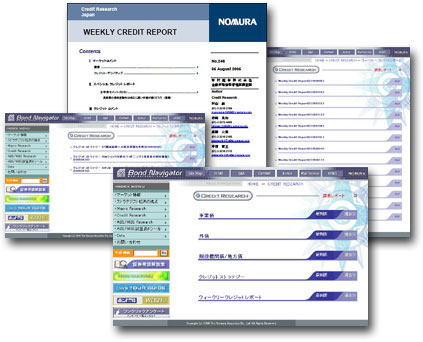 Assets And Credit Report